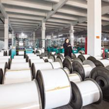 針紡織品及原料銷售市場動態與趨勢解析