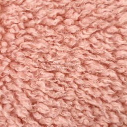 優(yōu)質(zhì)獅子絨全滌針織絨布 廠家直銷(xiāo)，PV絨家紡服裝面料現(xiàn)貨供應(yīng)，針紡織品原料專(zhuān)業(yè)銷(xiāo)售